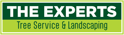 The-Experts-logo-rectangle