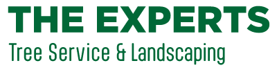 The_experts_Logo